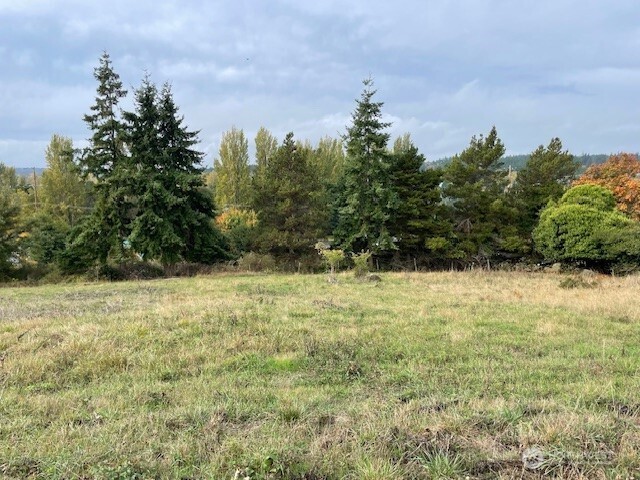 2021 Clay Street Port Townsend, WA 98368 - Photo 3 of 5 a view of a yard with an outdoor space
