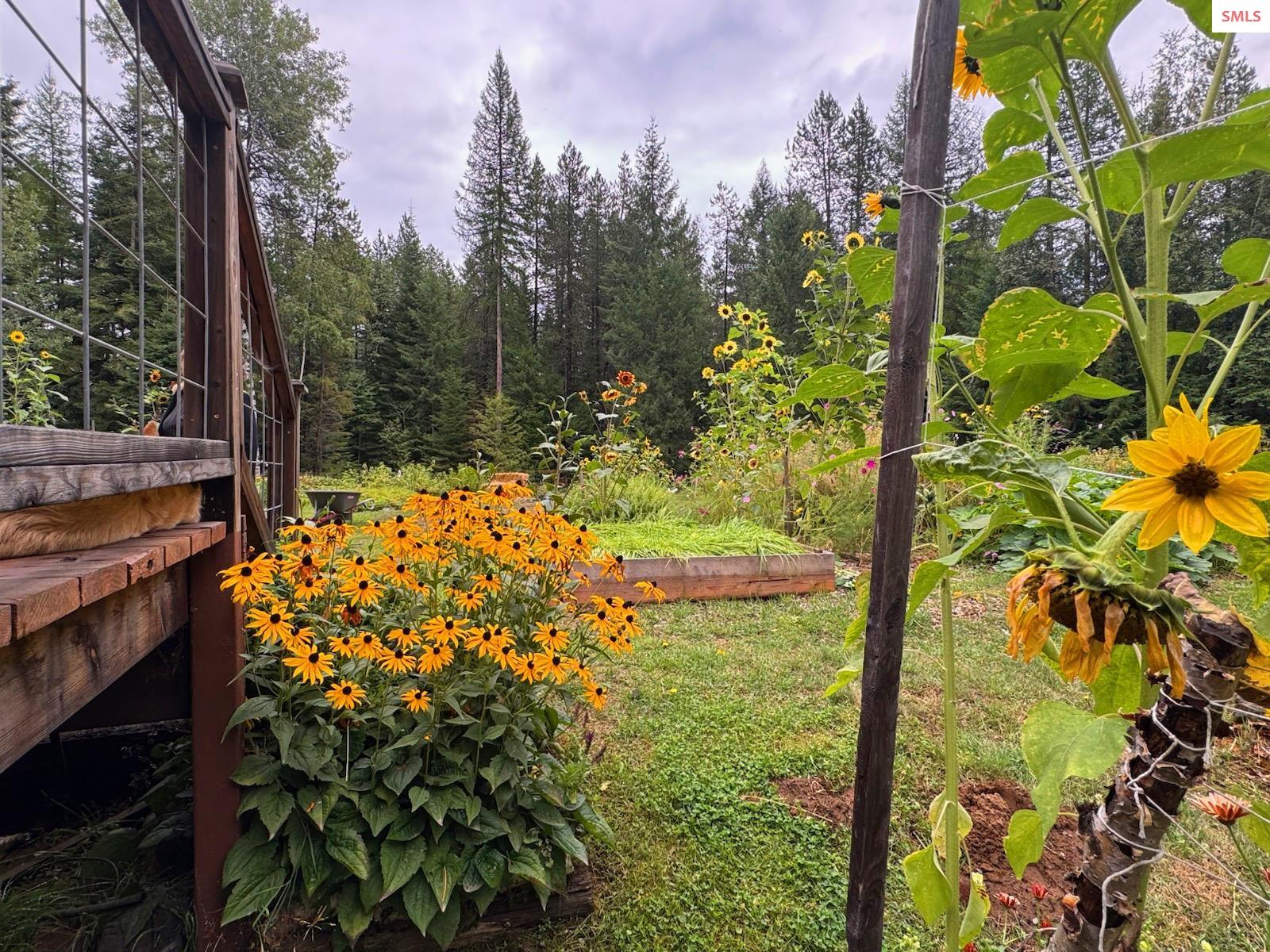 633 Old Mill Road Sandpoint, ID 83864 - Photo 57 of 65 Gallery Image 57
