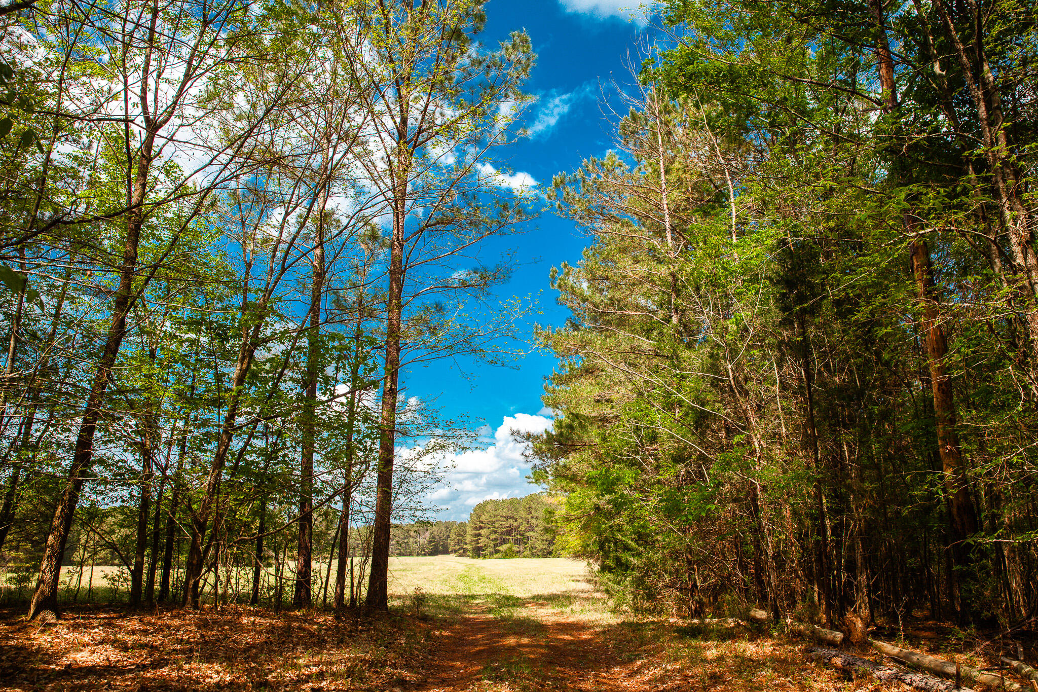 0 Ralph Goolsby Road Lincolnton, GA 30817 - Photo 24 of 48 IMG_5220
