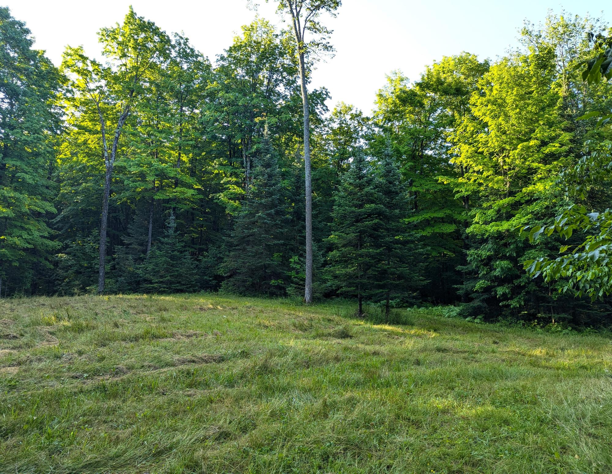 N7032 Carpenter Creek Road Phillips, WI 54555 - Photo 10 of 48 Gallery Image 10