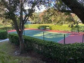 a view of yard with grass and a trees