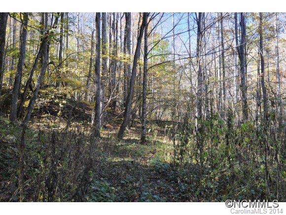 99 Roaring Fork Road Hot Springs, NC 28743 - Photo 17 of 20 Gallery Image 17
