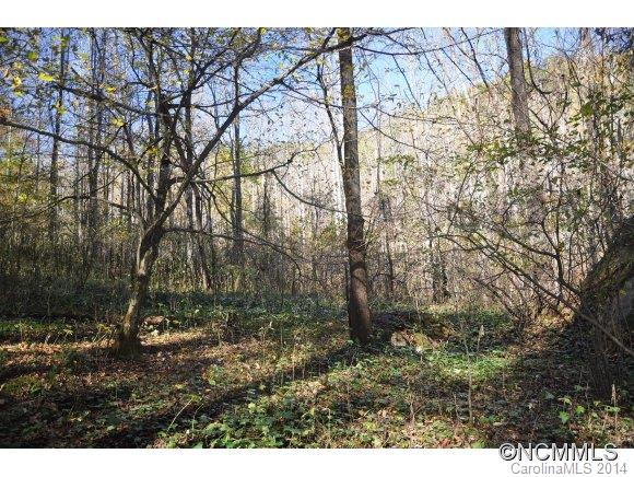 99 Roaring Fork Road Hot Springs, NC 28743 - Photo 19 of 20 Gallery Image 19