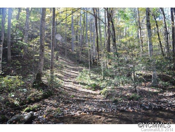 99 Roaring Fork Road Hot Springs, NC 28743 - Photo 5 of 20 Gallery Image 5