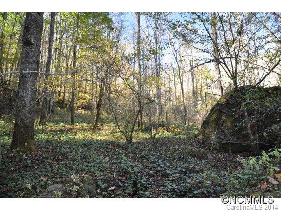 99 Roaring Fork Road Hot Springs, NC 28743 - Photo 6 of 20 Gallery Image 6