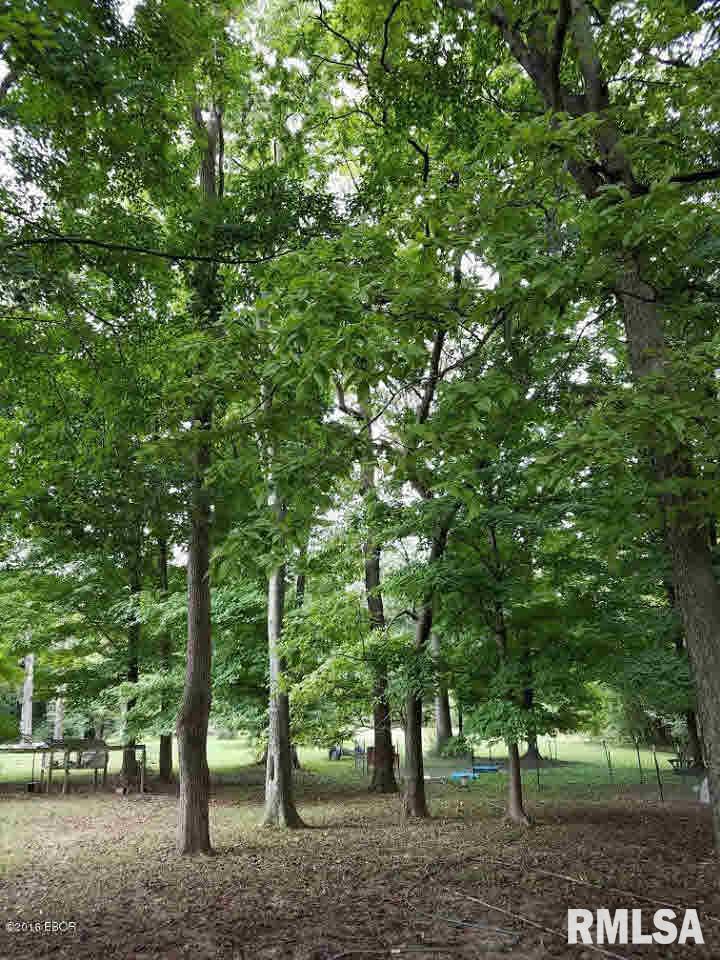 505 Possum Road Ava, IL 62907 - Photo 12 of 50