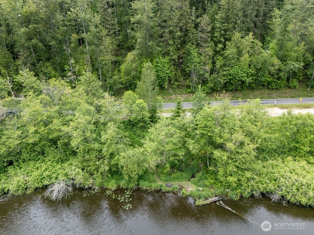 3-4 Orville Road East Eatonville, WA 98328 - Photo 5 of 32