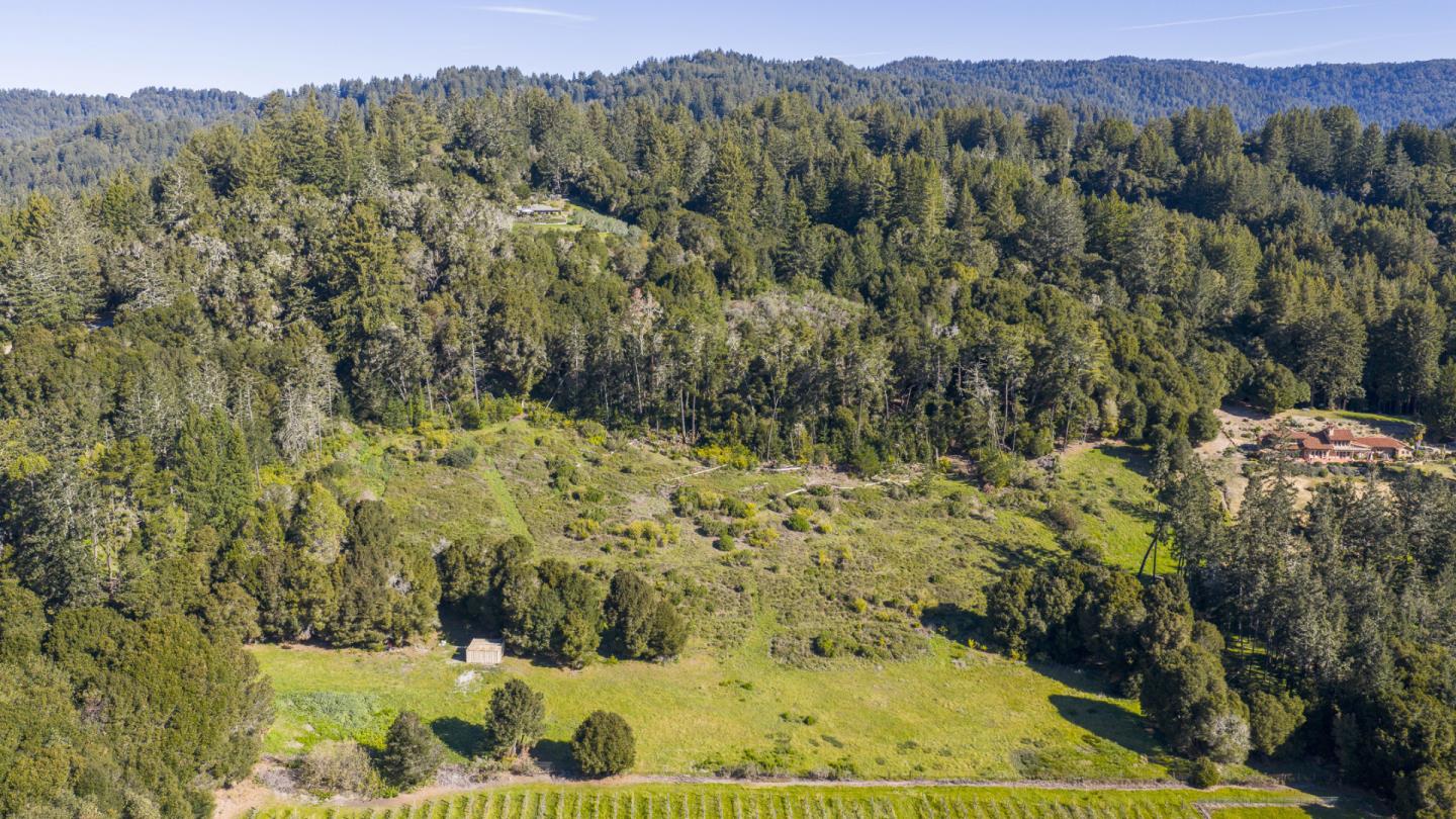 1073 Larsen Road Aptos, CA 95003 - Photo 12 of 18 a view of a yard