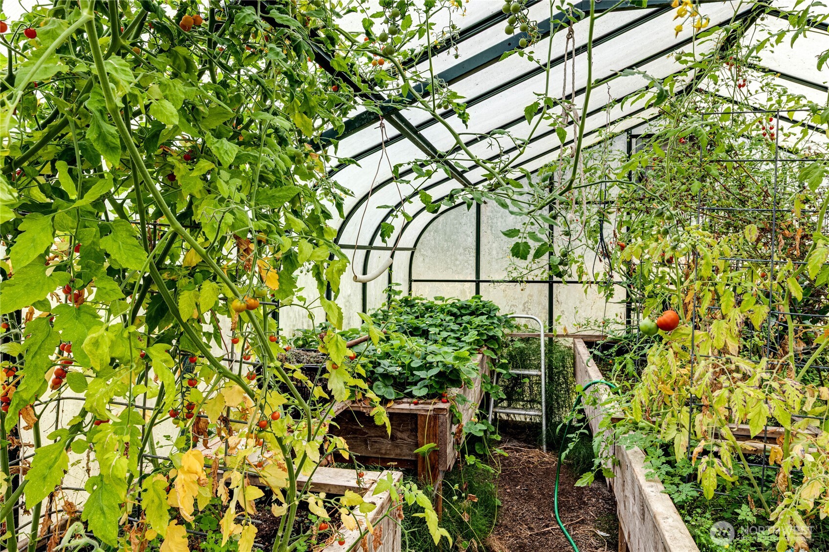 62 Johnson Road Port Angeles, WA 98363 - Photo 37 of 38 a backyard of a house with lots of green space and a bench
