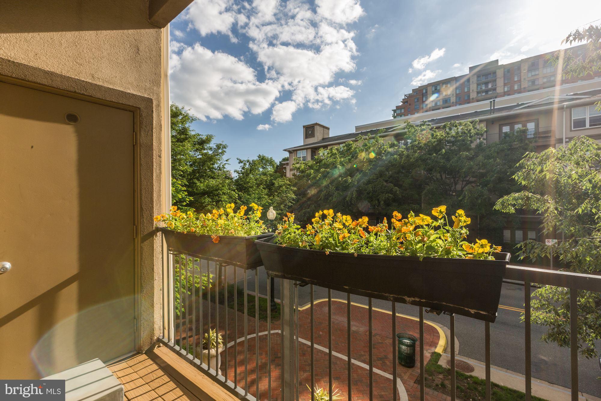 11800 Old Georgetown Road, Unit 1538 North Bethesda, MD 20852 - Photo 11 of 25 Exterior (Rear)