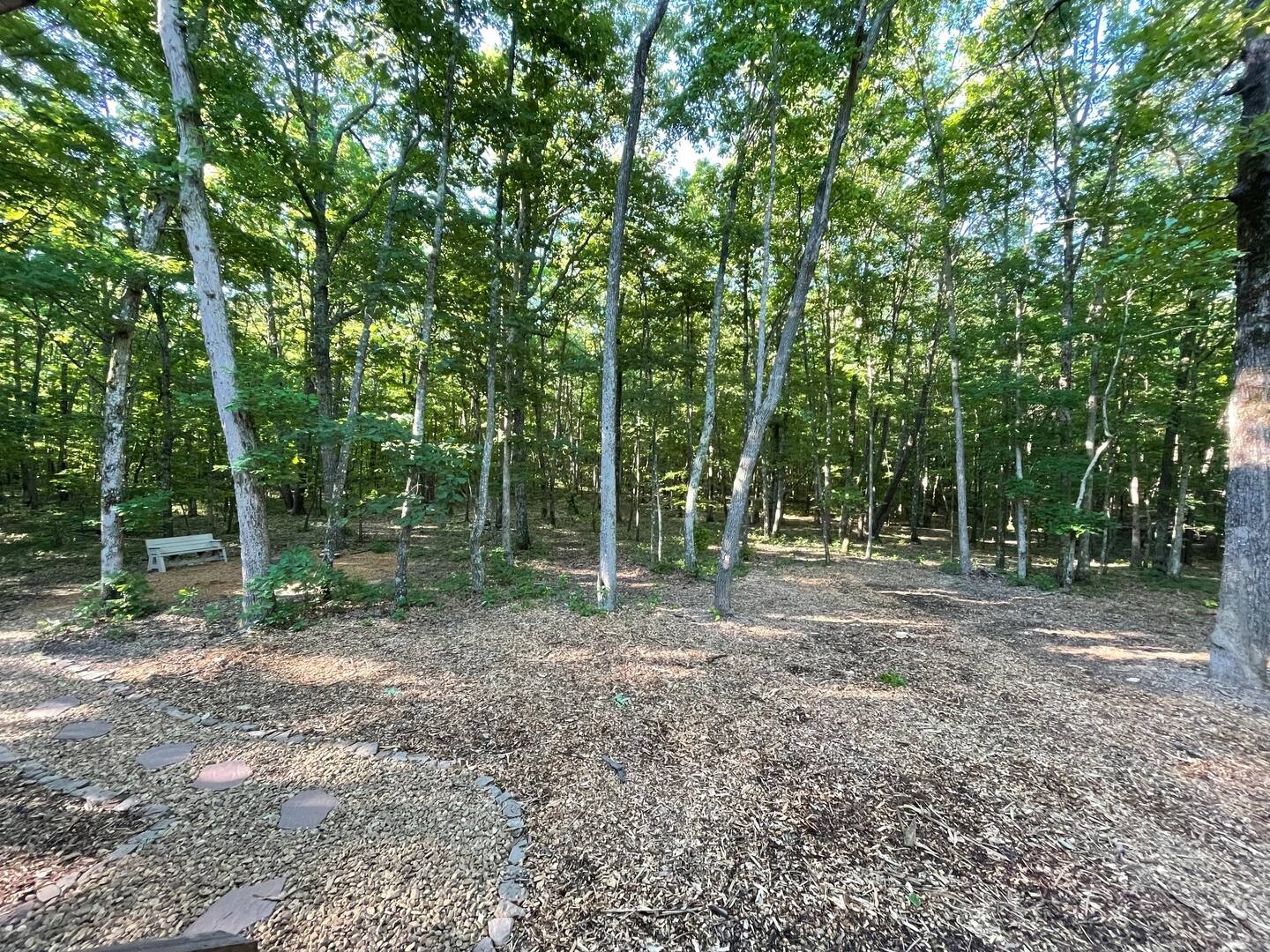 2587 Cooley's Rift Boulevard Pelham, TN 37366 - Photo 14 of 25 a view of a backyard with trees