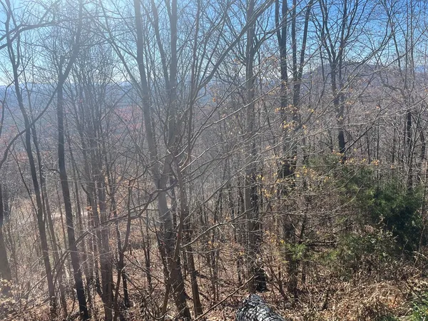 $59,000 | Lot 132 Sanctuary Drive, Murphy, NC 28906