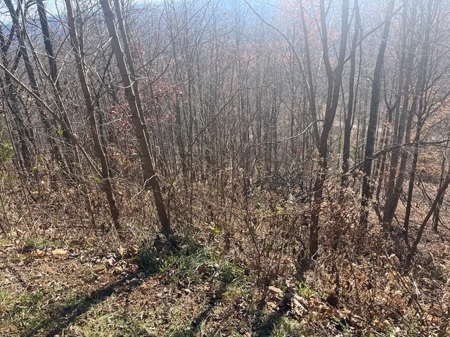 $69,000 | Lot 132 Sanctuary Drive, Murphy, NC 28906
