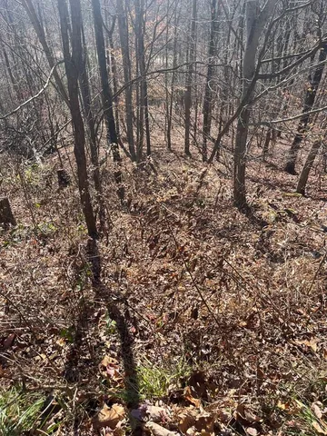 $69,000 | Lot 132 Sanctuary Drive, Murphy, NC 28906