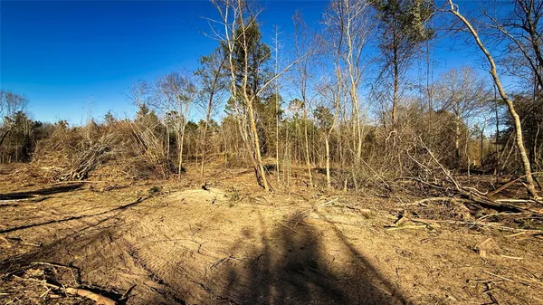 a view of a yard with wooden fence