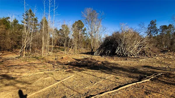 a view of outdoor space with trees