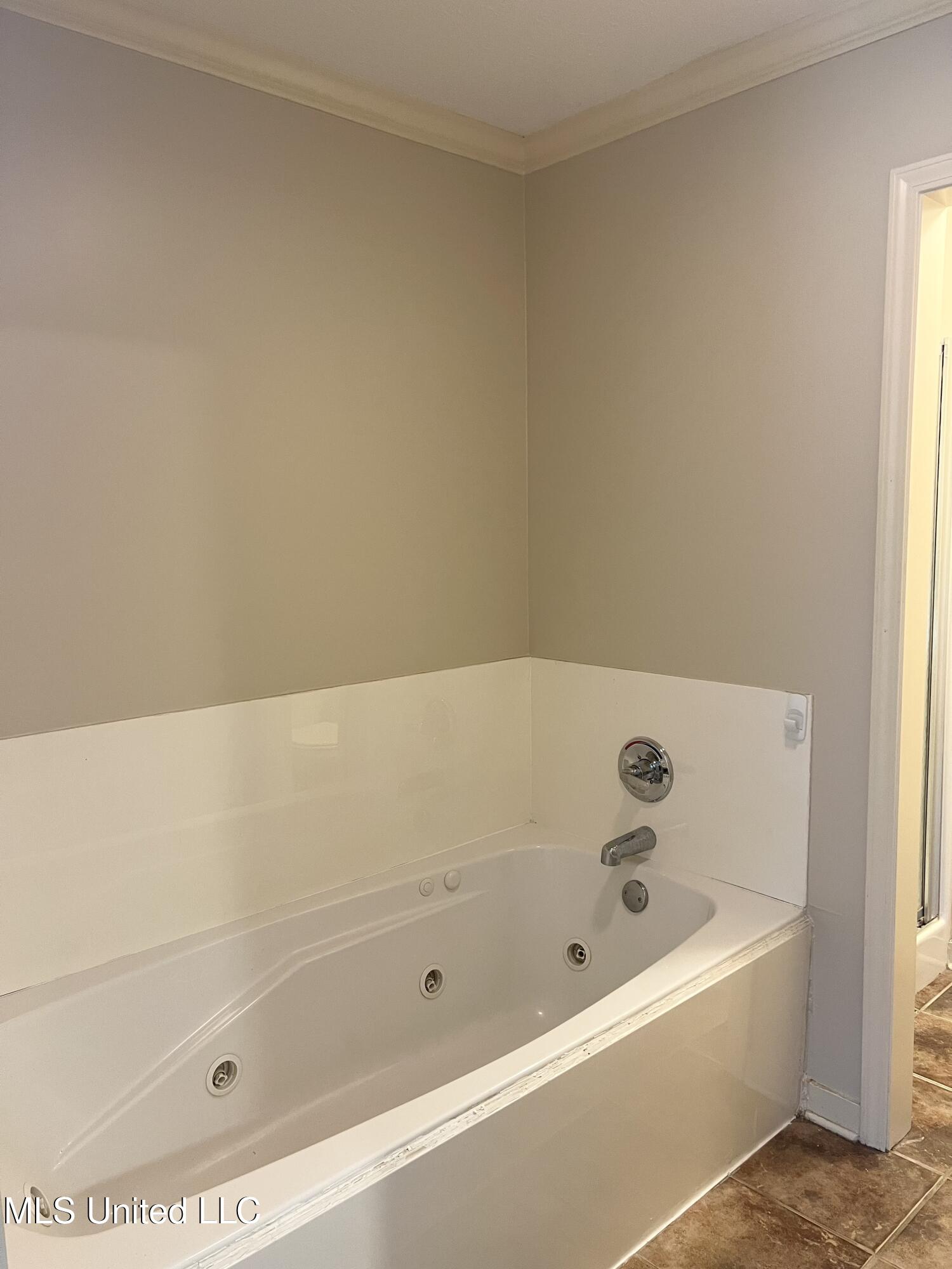 104 West Pinebrook Drive Brandon, MS 39047 - Photo 11 of 15 IMG_0565