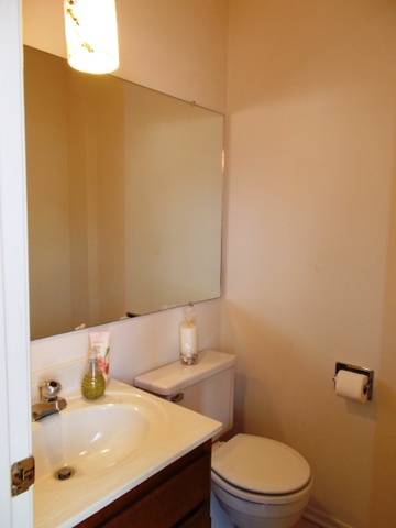 160 West Golf Road Libertyville, IL 60048 - Photo 9 of 12 a bathroom with a sink a toilet and a mirror