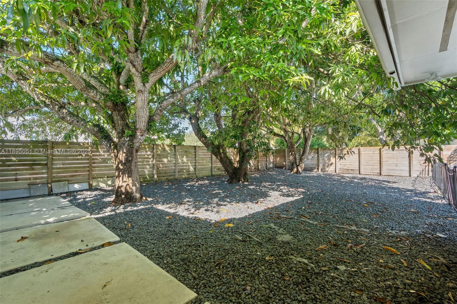 8121 Southwest 97th Terrace Miami, FL 33156 - Photo 12 of 38 a view of a tree in the backyard of a house