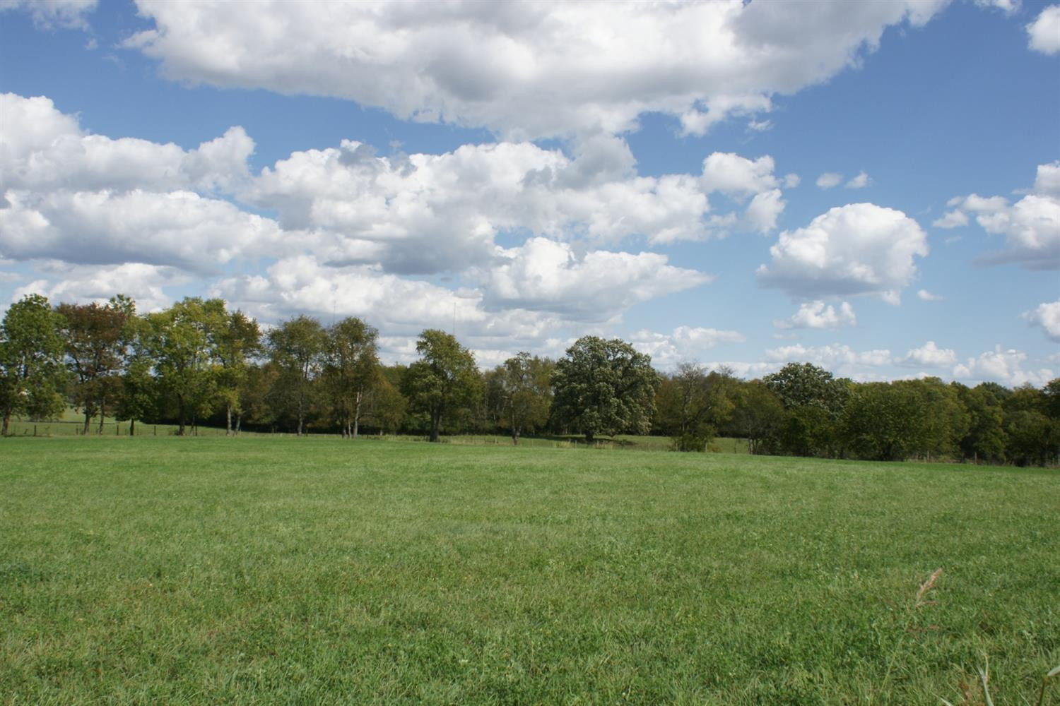2152 Paynes Depot Road Lexington, KY 40511 - Photo 11 of 11 Photo 11