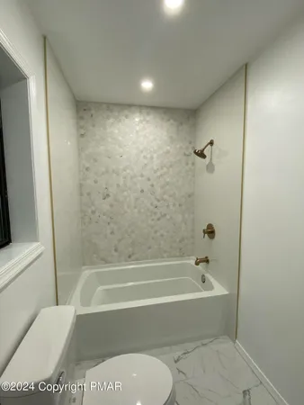a bathroom with a toilet and a bathtub