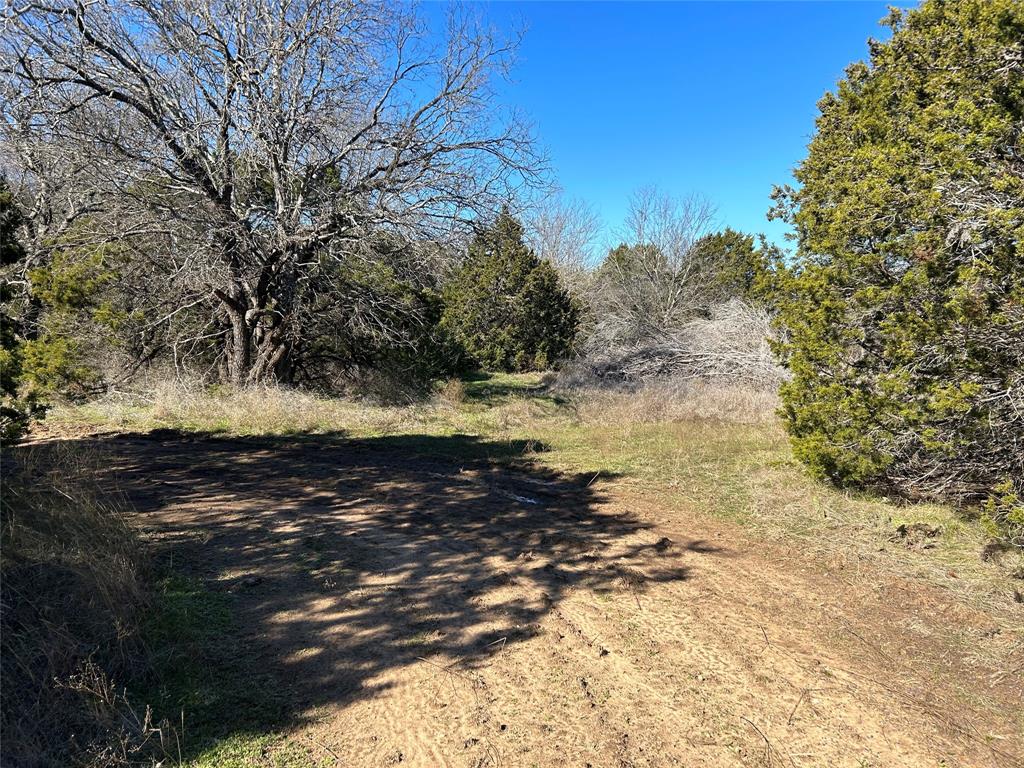 330 Fort Graham Whitney, TX 76692 - Photo 8 of 12