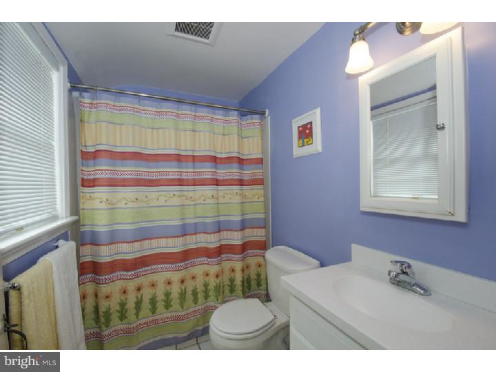 253 Harrogate Road Wynnewood, PA 19096 - Photo 13 of 15 Bathroom