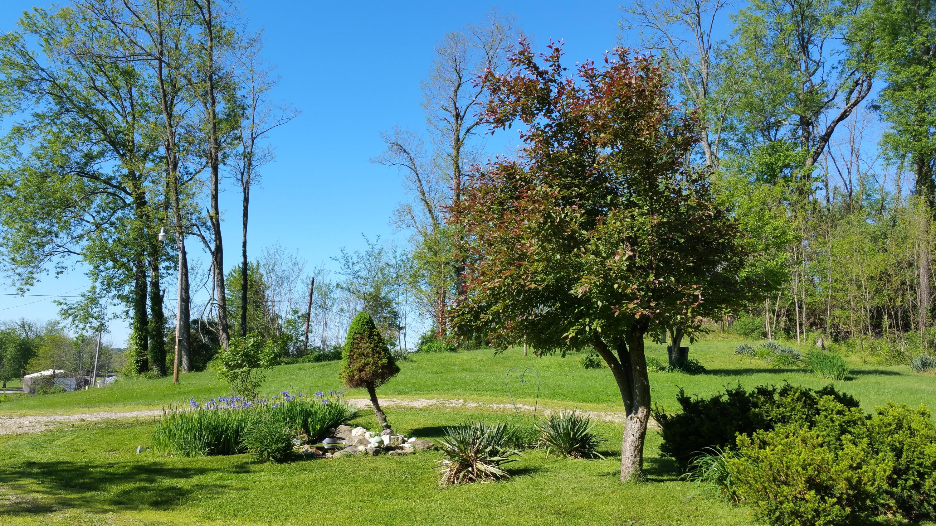 10705 Bryson Road Glenford, OH 43739 - Photo 10 of 81