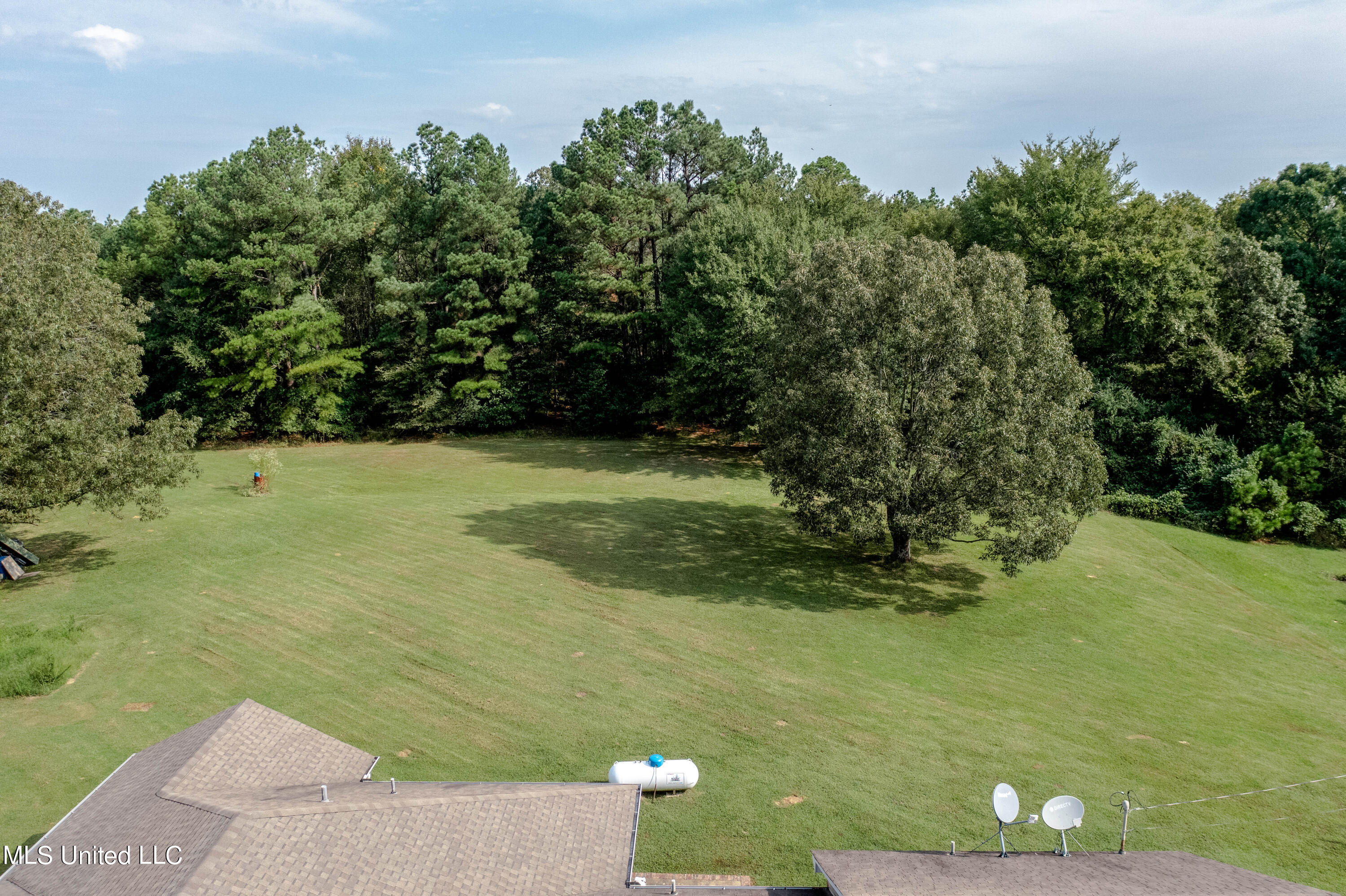 5679 Peyton Road Coldwater, MS 38618 - Photo 23 of 27 03-Aerial Back Yard