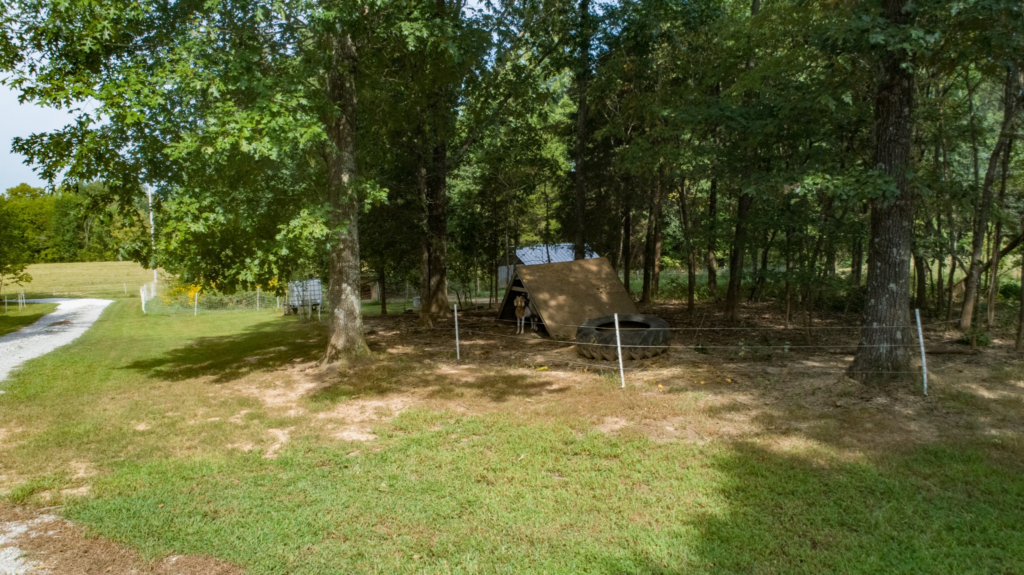 14270 Bainbridge Road Cerulean, KY 42215 - Photo 16 of 40 Gallery Image 16