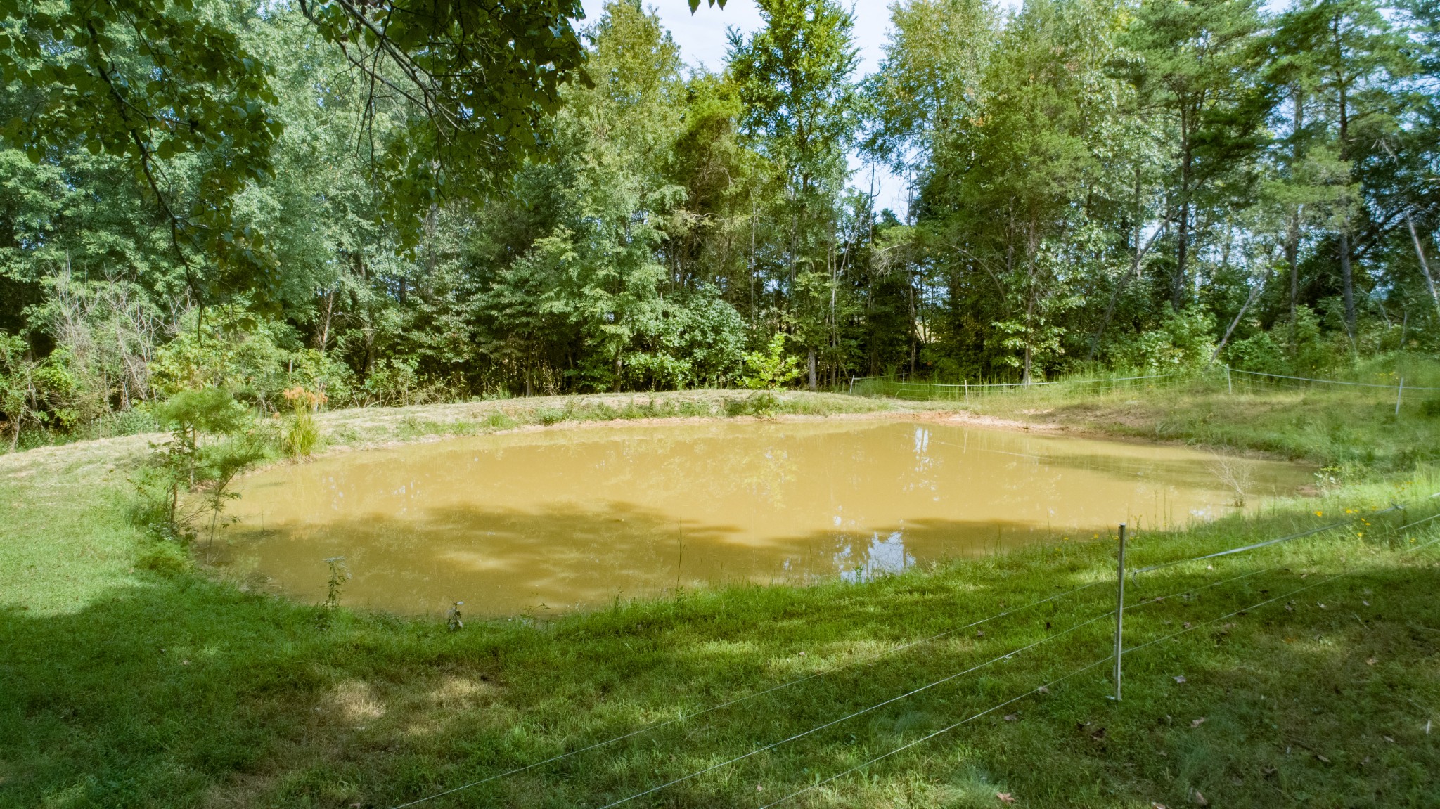 14270 Bainbridge Road Cerulean, KY 42215 - Photo 18 of 40 Gallery Image 18