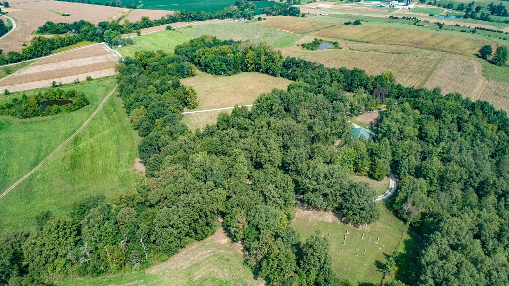 14270 Bainbridge Road Cerulean, KY 42215 - Photo 7 of 40 Gallery Image 7