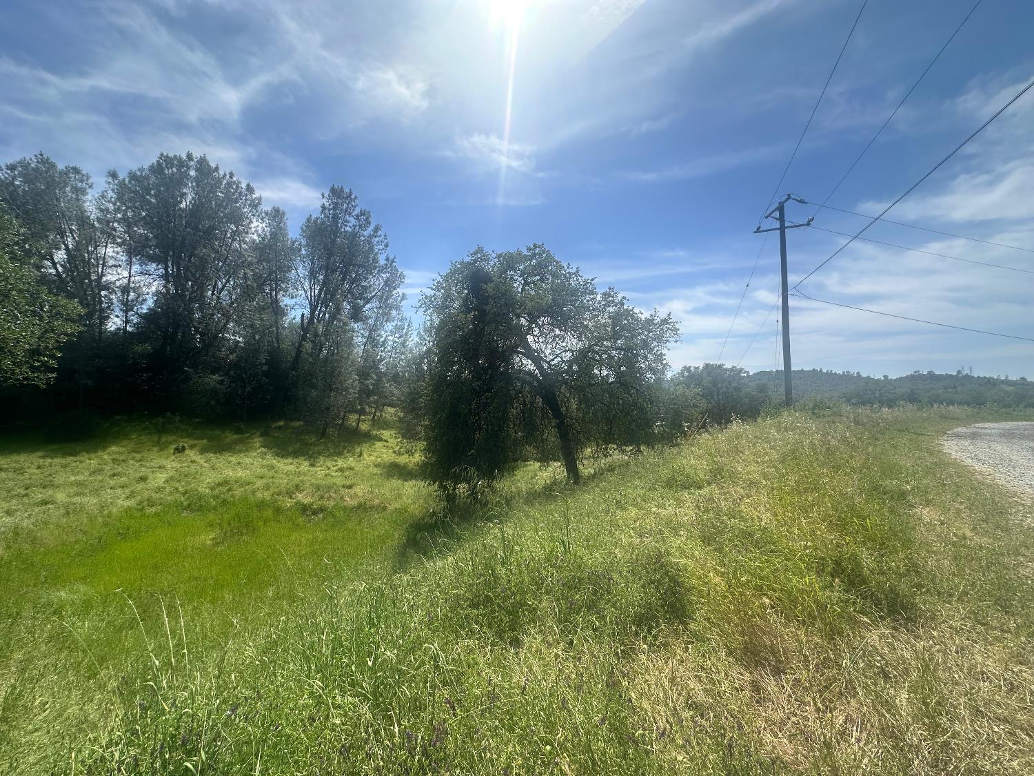 4069 Parrotts Ferry Road Vallecito, CA 95251 - Photo 20 of 32 a backyard of a house with lots of green space