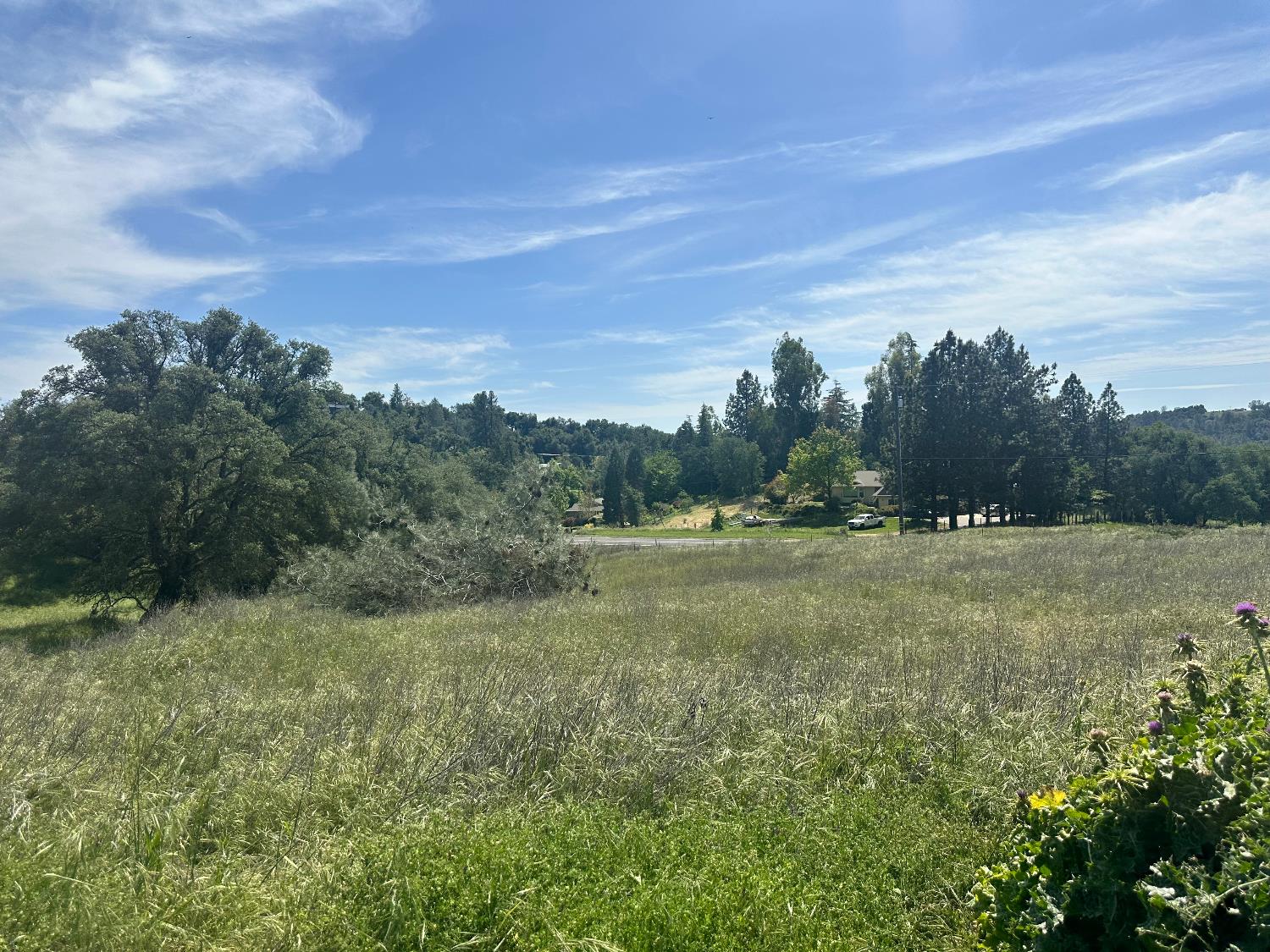 4069 Parrotts Ferry Road Vallecito, CA 95251 - Photo 25 of 32 a view of an outdoor space with green field and trees
