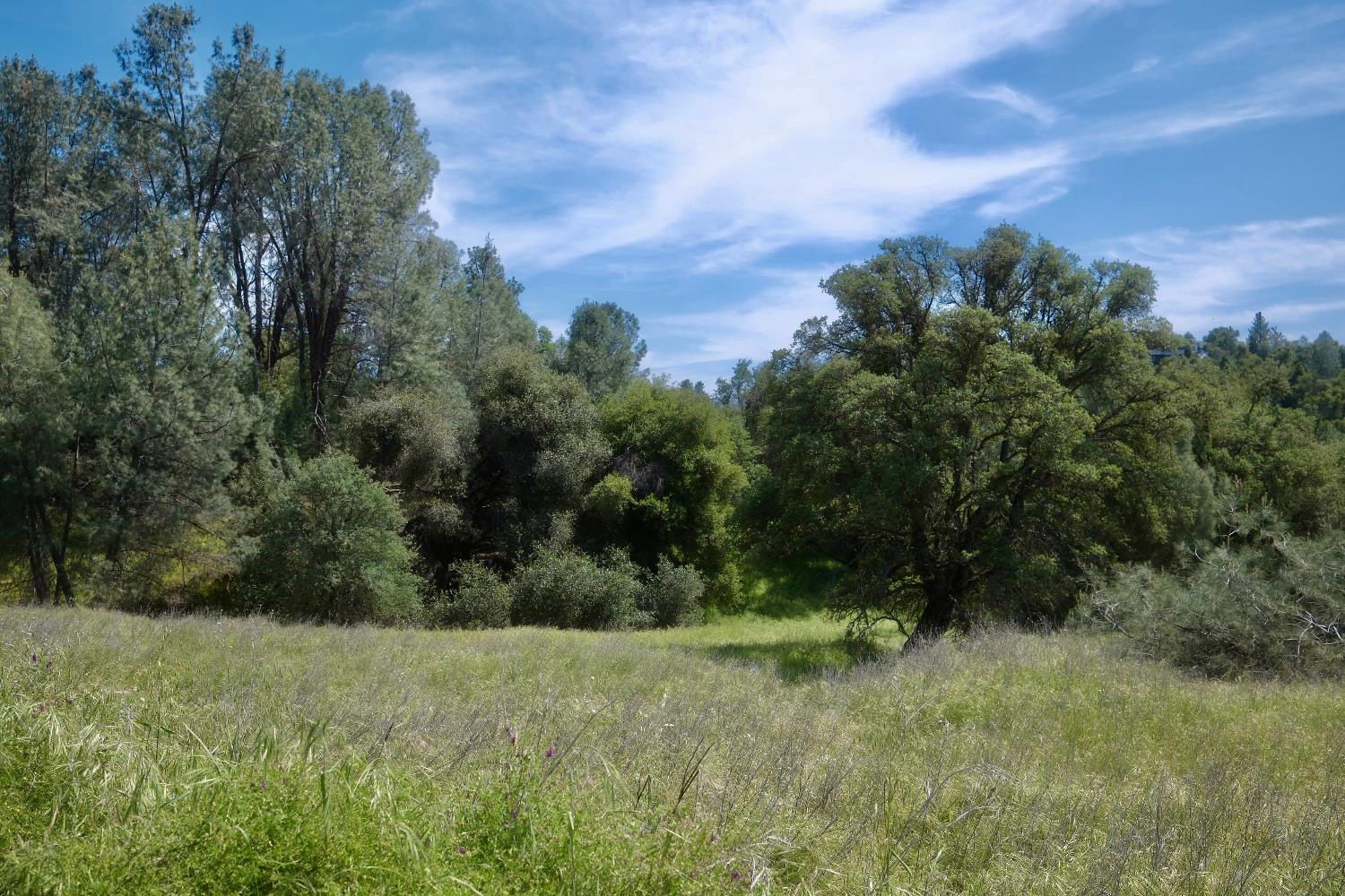 4069 Parrotts Ferry Road Vallecito, CA 95251 - Photo 28 of 32 a view of a yard