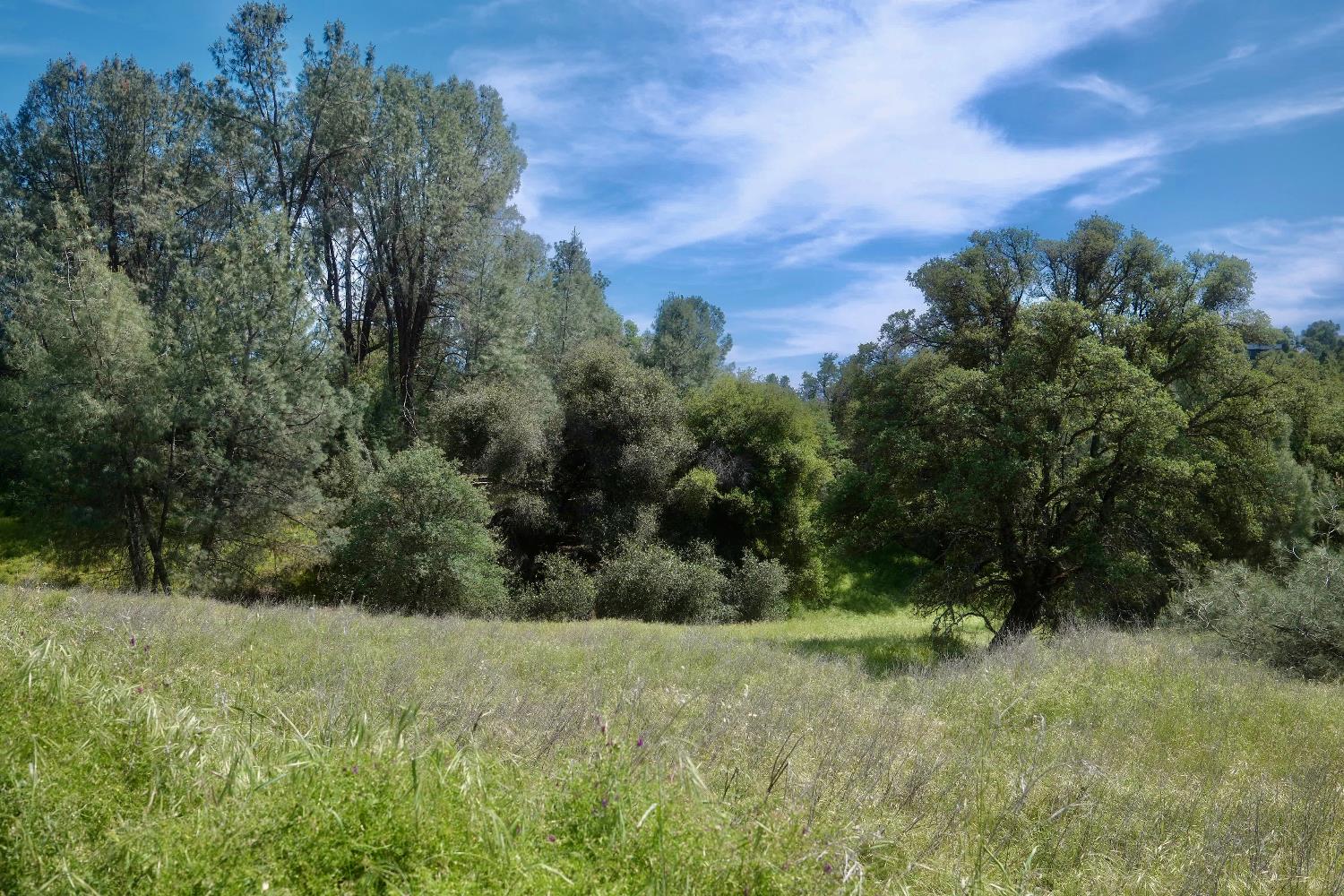 4069 Parrotts Ferry Road Vallecito, CA 95251 - Photo 29 of 32 a view of a yard