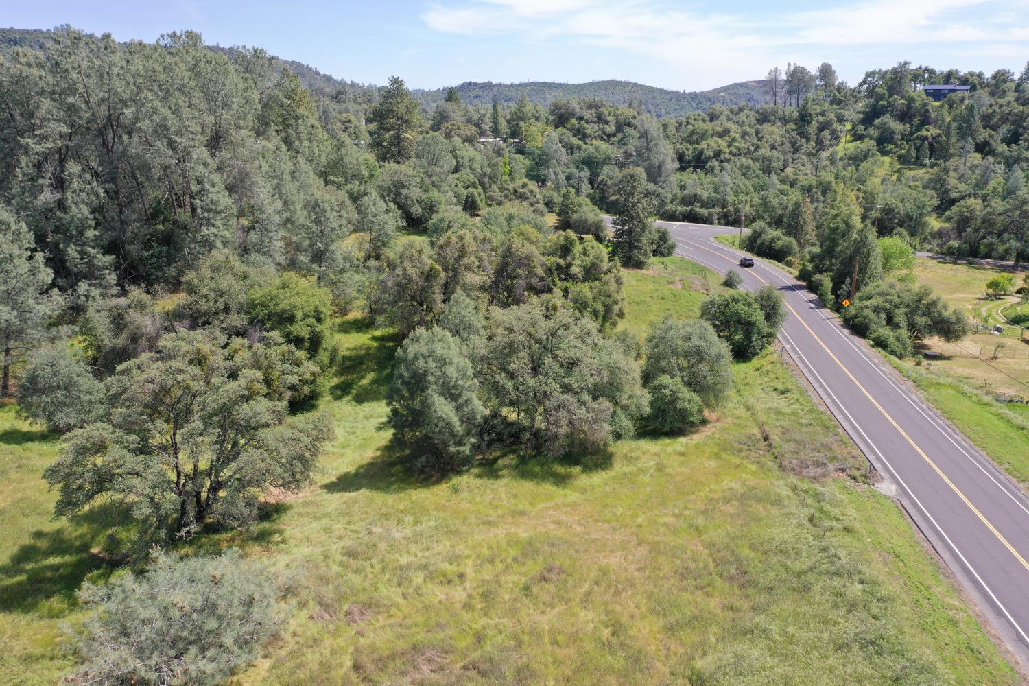 4069 Parrotts Ferry Road Vallecito, CA 95251 - Photo 10 of 32 a view of a yard with a tree