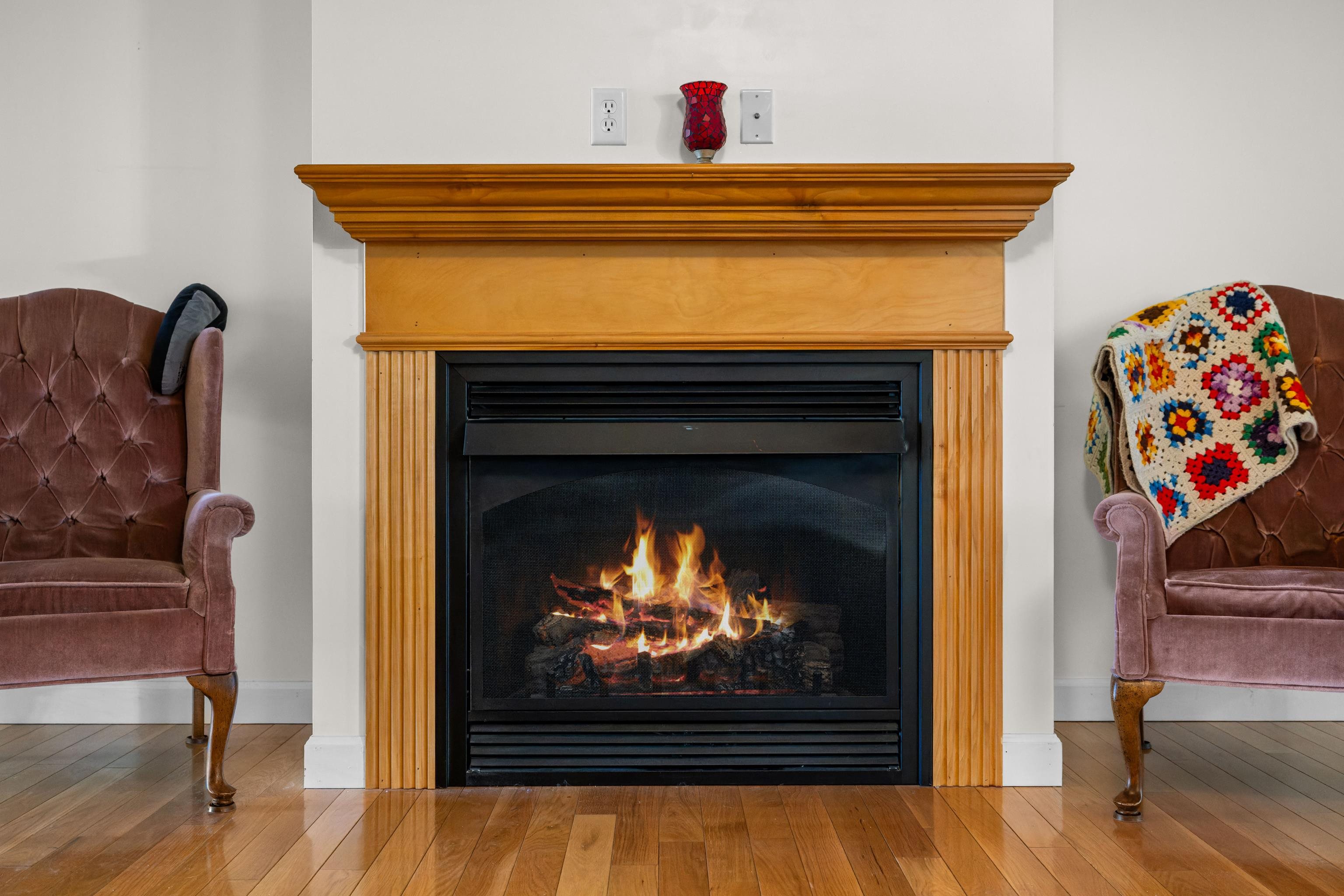 2143 Mill Creek Road Luray, VA 22835 - Photo 15 of 72 Living Room FP