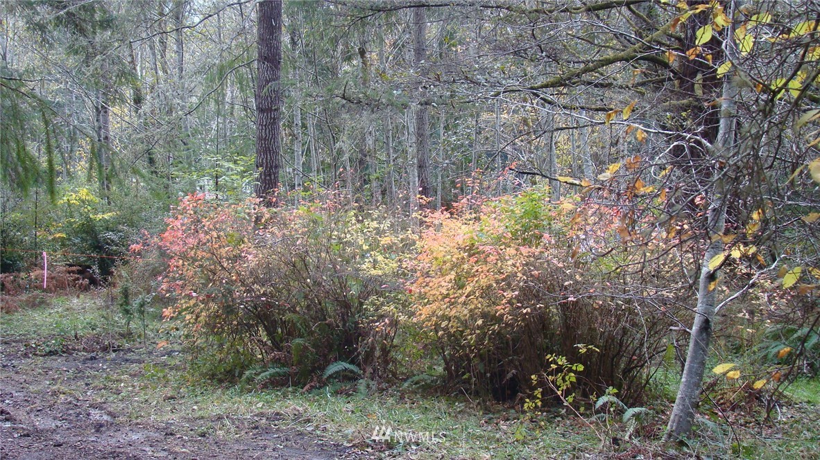 1410 Thomas Road Grapeview, WA 98546 - Photo 19 of 25 Gallery Image 19