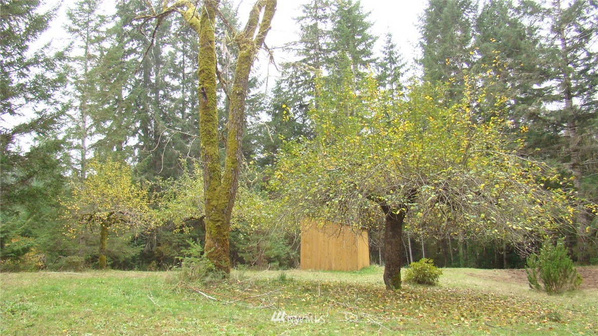 1410 Thomas Road Grapeview, WA 98546 - Photo 20 of 25 Gallery Image 20