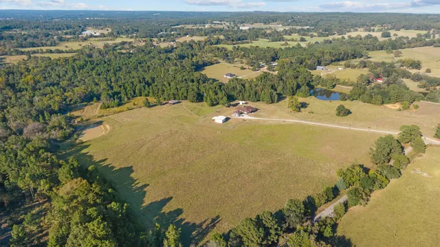 an aerial view of residential houses with outdoor space and trees