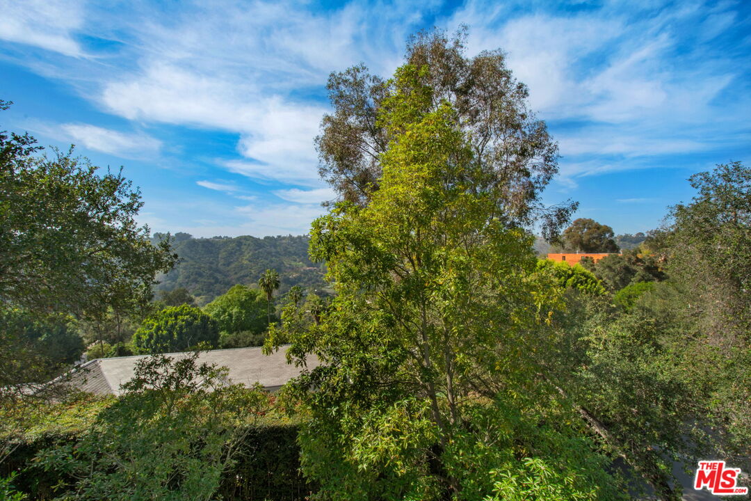 9669 Oak Pass Road Beverly Hills, CA 90210 - Photo 37 of 37 a view of a tree with a yard