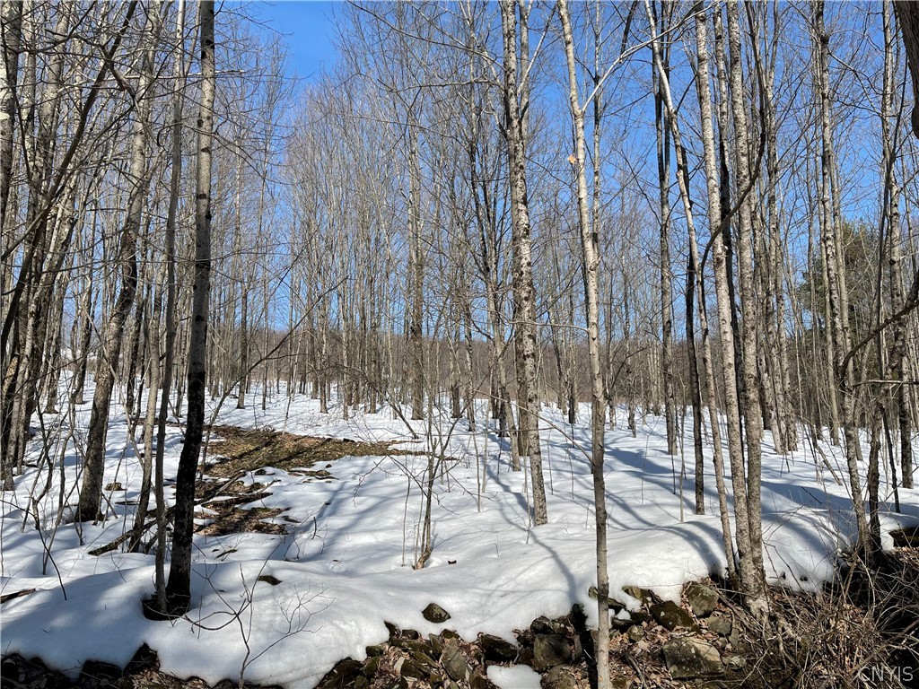 0 Shafer Road Harpursville, NY 13787 - Photo 1 of 1 Gallery Image 1