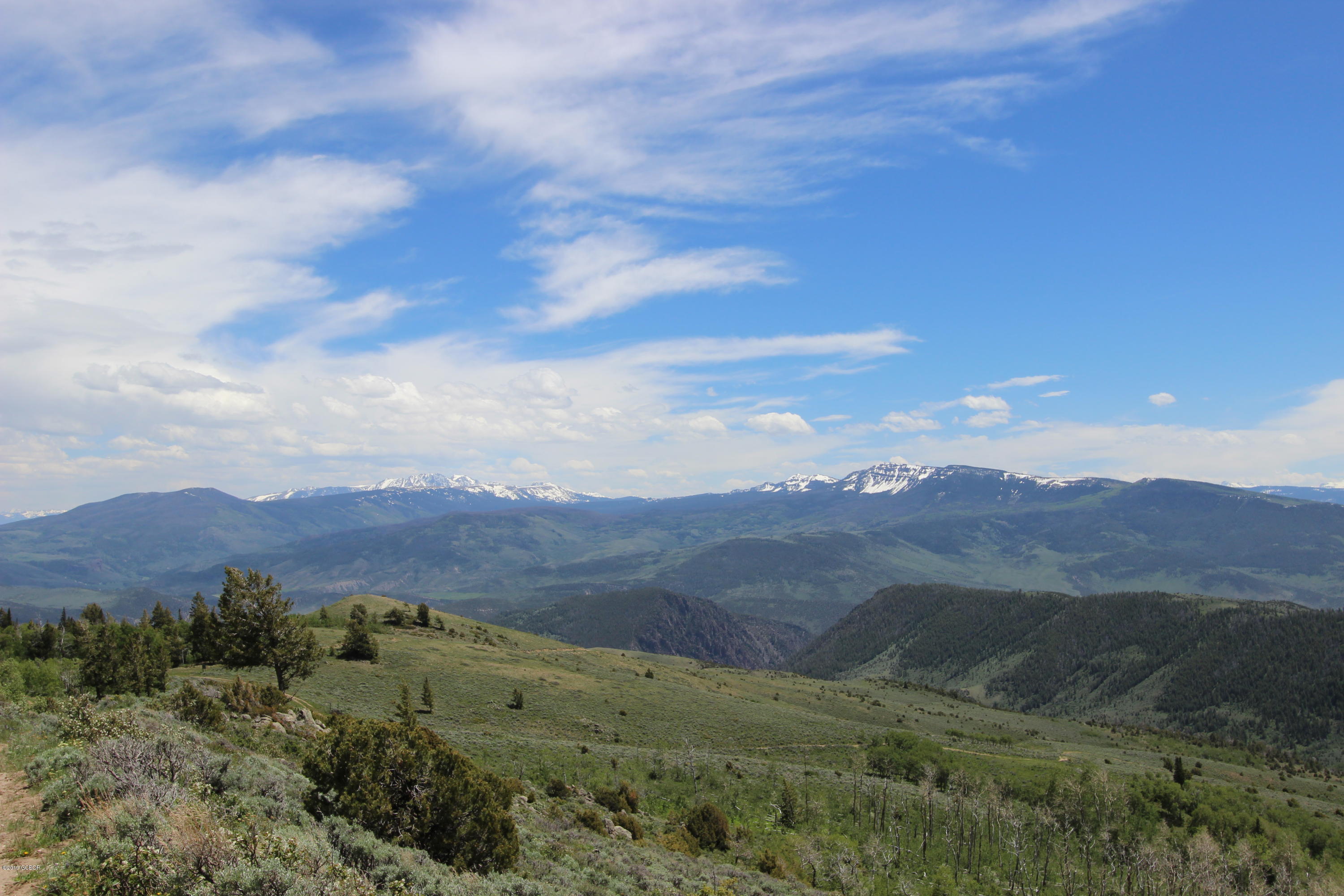 a view of a lush green hillside and a houses