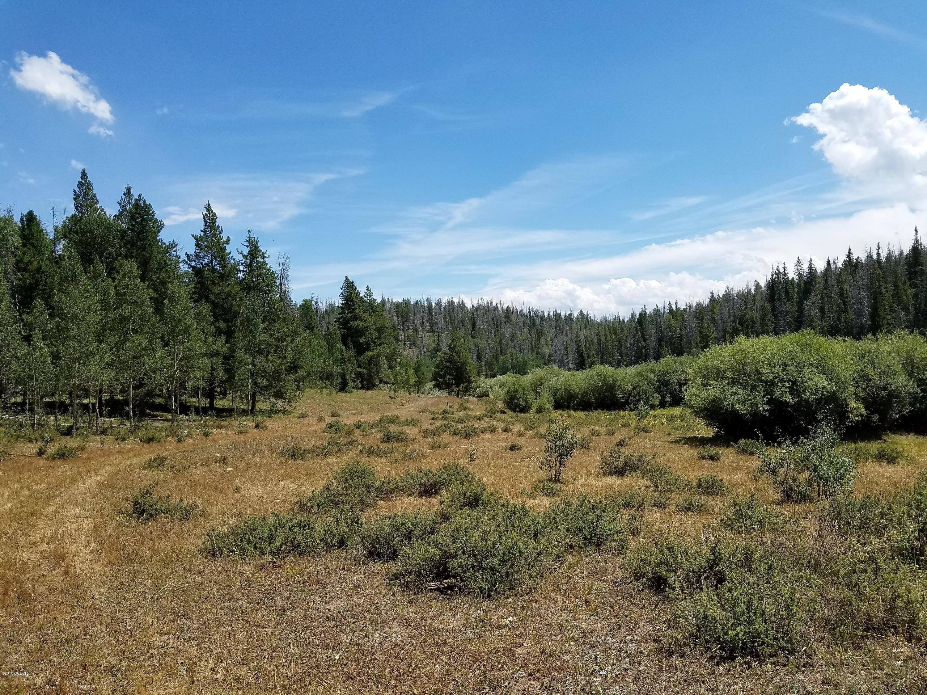 Tbd Copper Spur Road Bond, CO 80423 - Photo 14 of 41 a view of a dry yard with trees