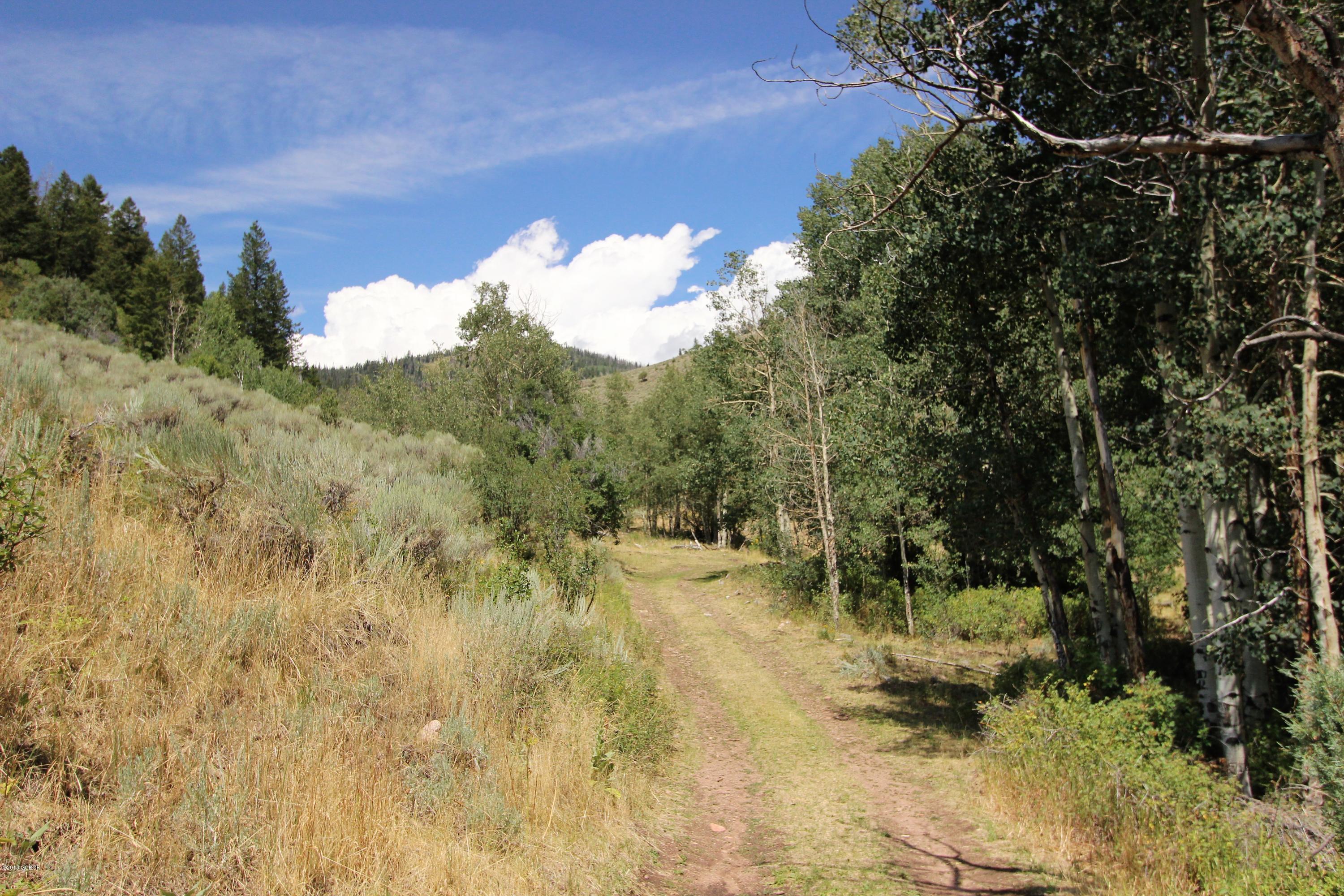 Tbd Copper Spur Road Bond, CO 80423 - Photo 15 of 41 a view of a bunch of trees and bushes