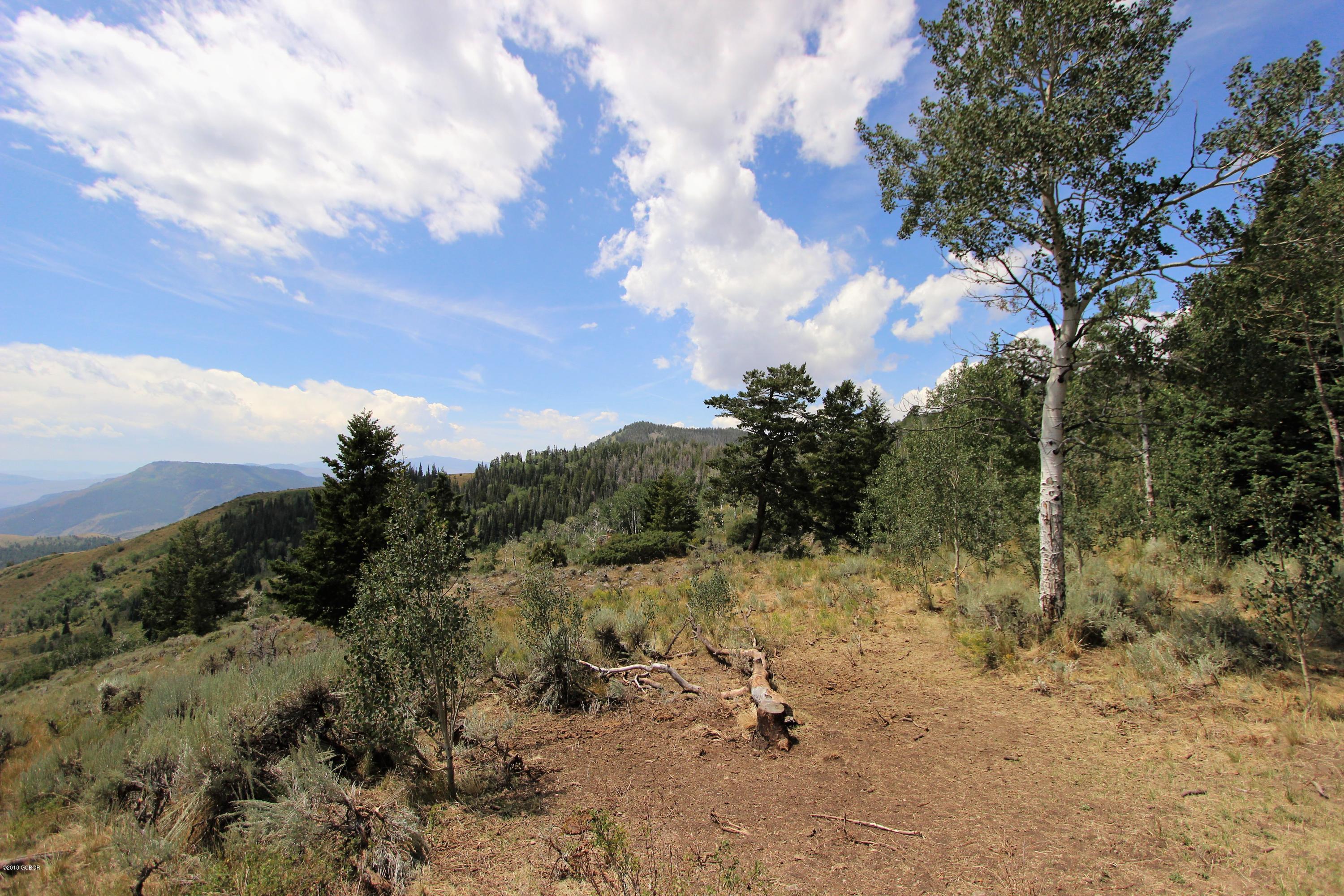 Tbd Copper Spur Road Bond, CO 80423 - Photo 17 of 41 a view of a covered with trees in the background