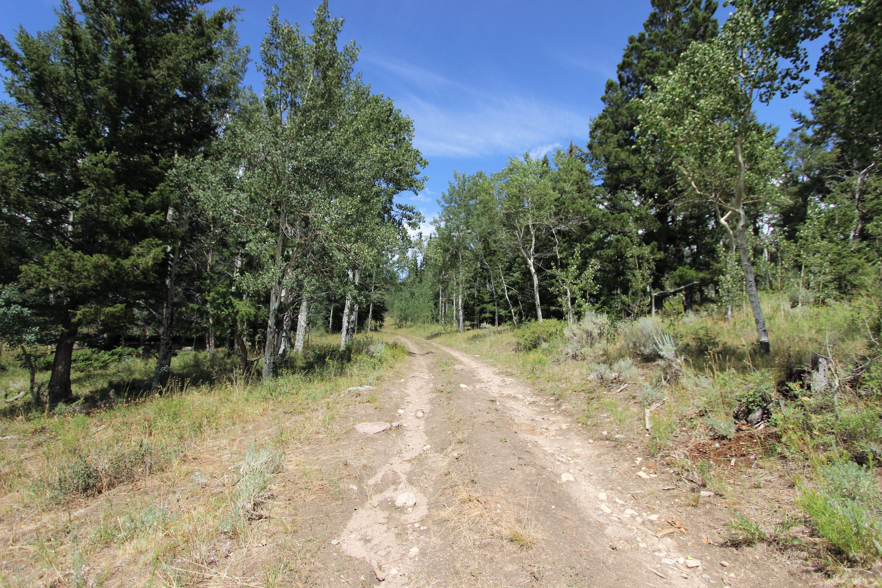 Tbd Copper Spur Road Bond, CO 80423 - Photo 18 of 41 a view of backyard with green space