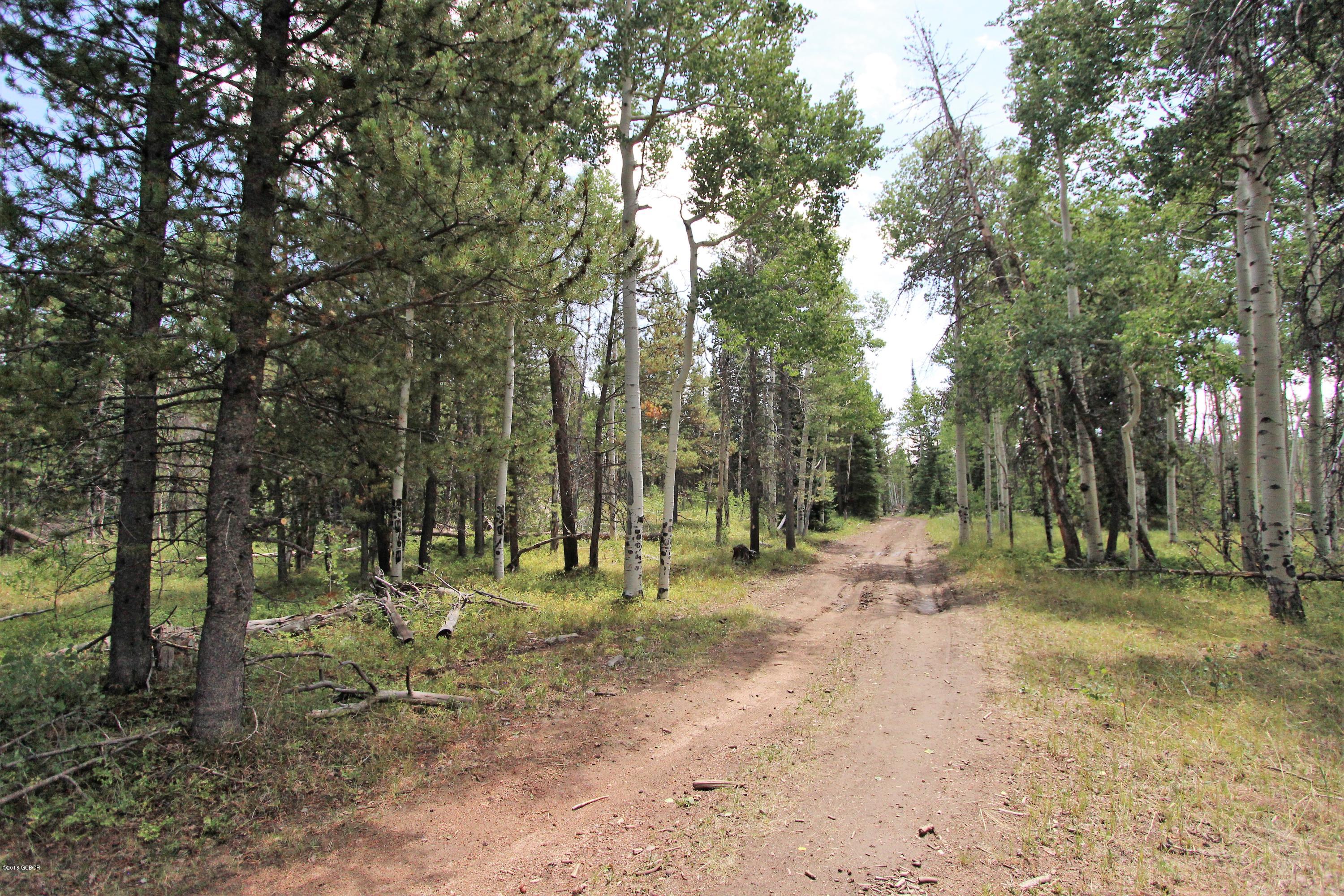 Tbd Copper Spur Road Bond, CO 80423 - Photo 19 of 41 a view of outdoor space with trees all around