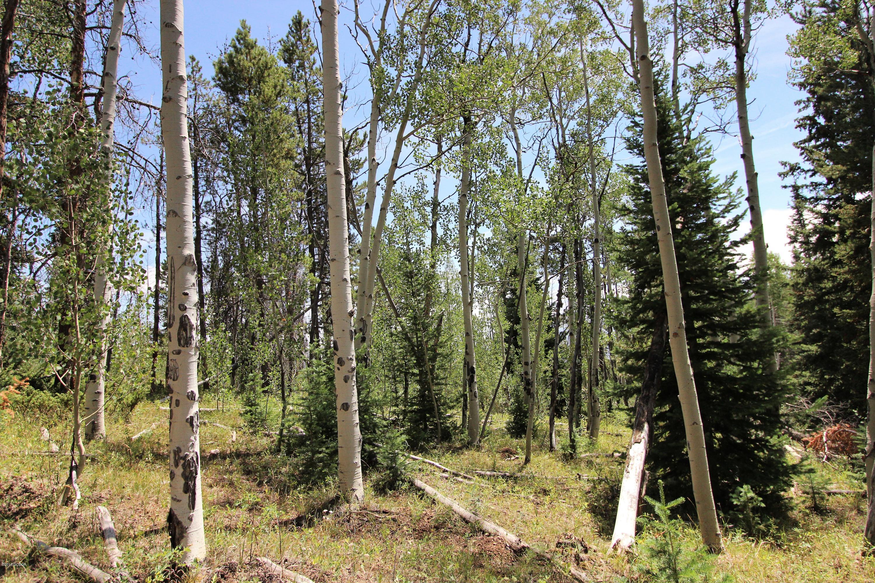 Tbd Copper Spur Road Bond, CO 80423 - Photo 20 of 41 a view of outdoor space and trees